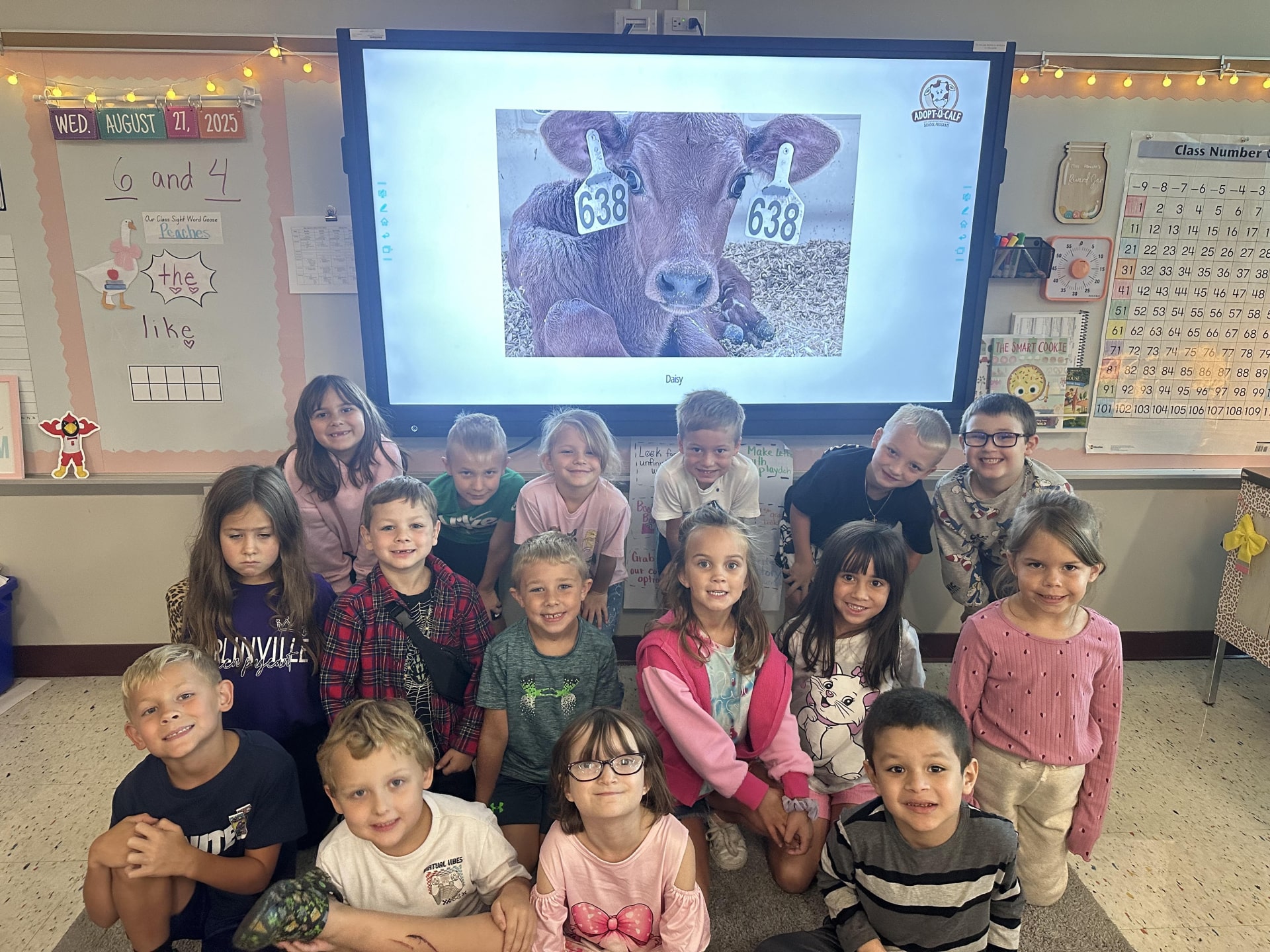 Mrs. Albrecht's Class Adopted a COW!!